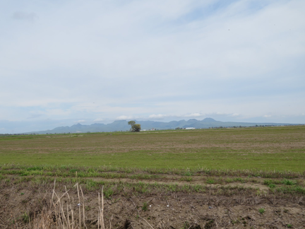 Bud's Sutter Buttes Ride 4-7-19 - 21